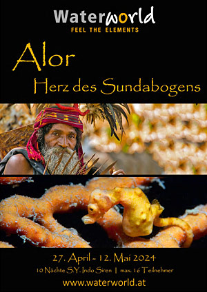 Info_PDF_Cover_Alor_2024_04_27_02