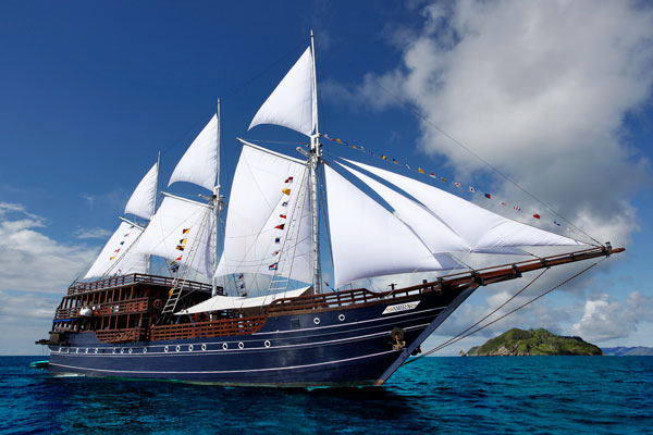 M.S.V. Amira - Tauchsafari in Raja Ampat, Cenderawasih Bay und Komodo